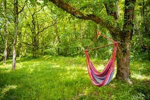 Domaine_Ste_Raffine_web-60