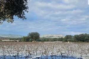 PUECH EN HIVER