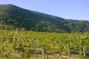 WP_20150905_003