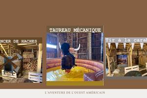 taureau mécanique