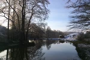 Etang convertible en patinoire par moins 10