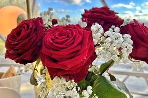 bouquet de sept roses magnifiques, idéales pour un cadeau
