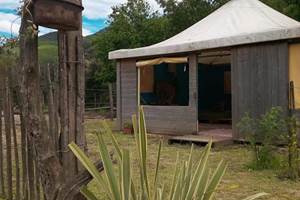 Spring-garden-Chalets-tente-extérieur