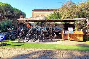 stations-bees-3-aigues-mortes