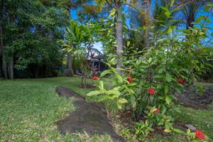 jardin en fin de journée