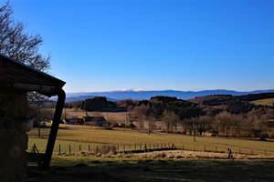 paysage Monts du Forez