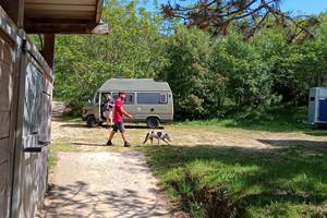 IMG_20240508_104055_763 (1)