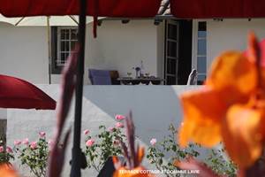 Terrace Cottage - vue depuis l'autre côté de la piscine