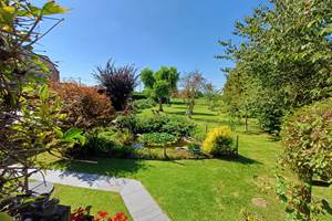 jardin vu du balcon en été