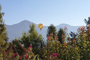 IMG-20210911-WA0008