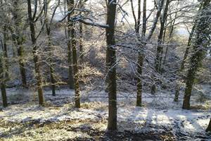 IMG-20210124-WA0010