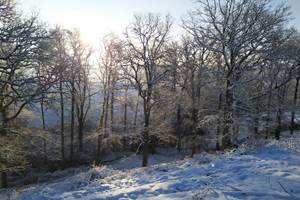 IMG-20210124-WA0024