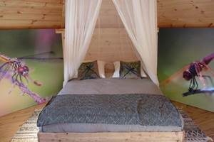 Libellule  lit 160