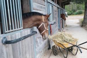 6808b6b86b08a403347698