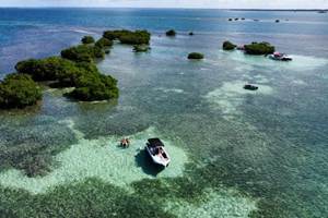 #decouverteiles #sortieenmer #locationbateau #tourismenautique #croisierejournee #bateauprive #activitecouple #voyage #experienceunique #loisirs #tourisme #week-end #plagesparadisiaques #tropical #ilecaraibes #snorkeling #excursionbateauguadeloupe #excursionbateaupascher #excursionbateauavis #excursionbateaureservation #meilleurexcursionbateauguadeloupe #excursionbateau2025 #guadeloupe #repas #aperitif #plongee #plage #masque #tuba