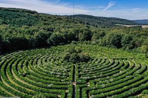 Labyrinthe Géant Guéret - Crédit photo : ADRT23 Services
