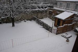 Le jardin