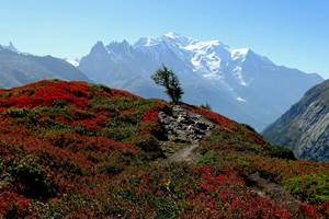 Aiguillette des Posettes - Vallorcine