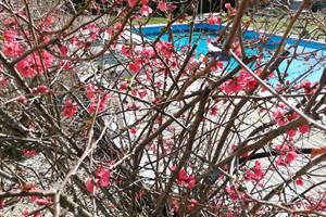 IMG_20200222_122903
