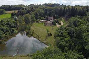 Les bois de Saint-Auvent, vue du domaine