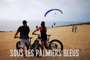 Sous les palmiers bleus - Location de VTT électriques Tiznit