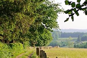 IMG_20250614_194740