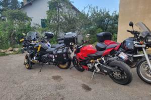 1000013644