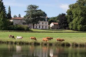 Chambre d'hôtes n°87G5714 "Le Masbareau" – ROYERES