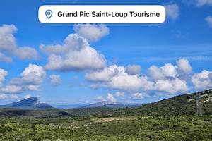 pic saint loup