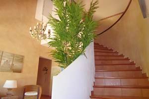 Chambre Massane escalier d'accès
