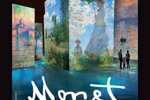 CARRIERES DE LUMIERES