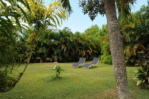 Les jardins des Balisiers jardin tropicales
