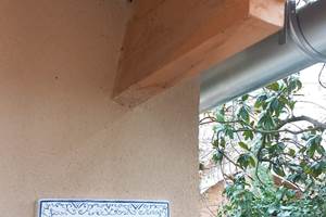 IMG-20250211-WA0011