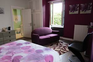 Spencer - ch Adour salon
