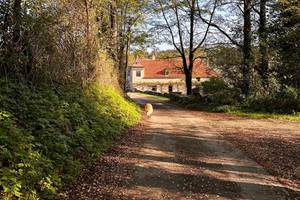 Arrive´e au Domaine