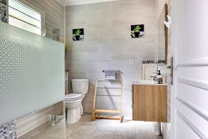 lacaze-salazie-2-salle-de-bain