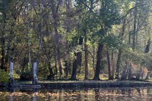 Sejour-dans-la-nature-en-Ile-de-France