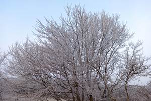 IMG_20220116_084903