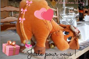 Valentines'Day Marguerite Le Ranch des Lacs