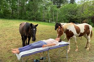 soin japonais: Reiki avec les chevaux