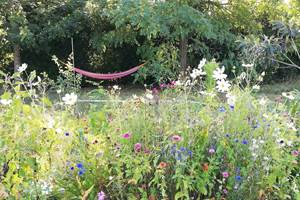 jardin hamac