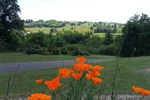 camping-la-perle-creuse-vue vallée de la creuse