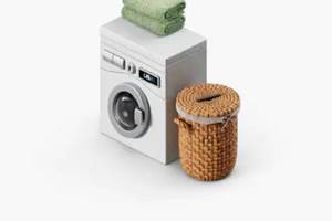 Rez-de-chaussée : Buanderie avec lave linge et congélateur table-top.