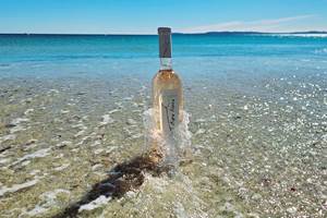 tulipe dans la mer carre