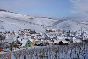 VIGNOBLE KLUR - Village