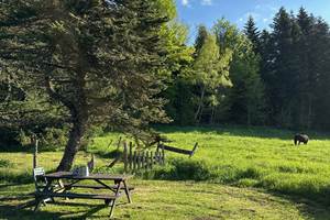 Gîtes Moréno Puy-de-Dôme Proche Vulcania Auvergne Sancy Tourisme Location de vacances Ski Montagne Lacs Volcans VTT randonnées