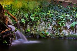 AQUARIUM DU LIMOUSIN A LIMOGES