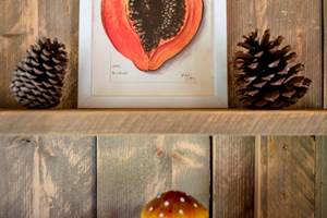 détail déco écolodge sunshine