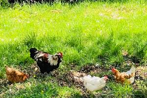 gite_correze_pierres_confort-nature