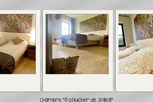 Chambre ô coucher de soleil- La demoiselle ô bois
